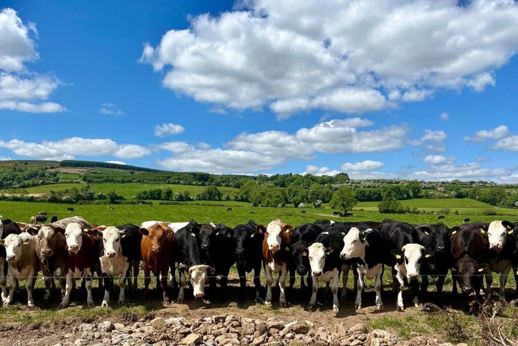 Tom Rocky'S Farmyard Villa Templemore Buitenkant foto